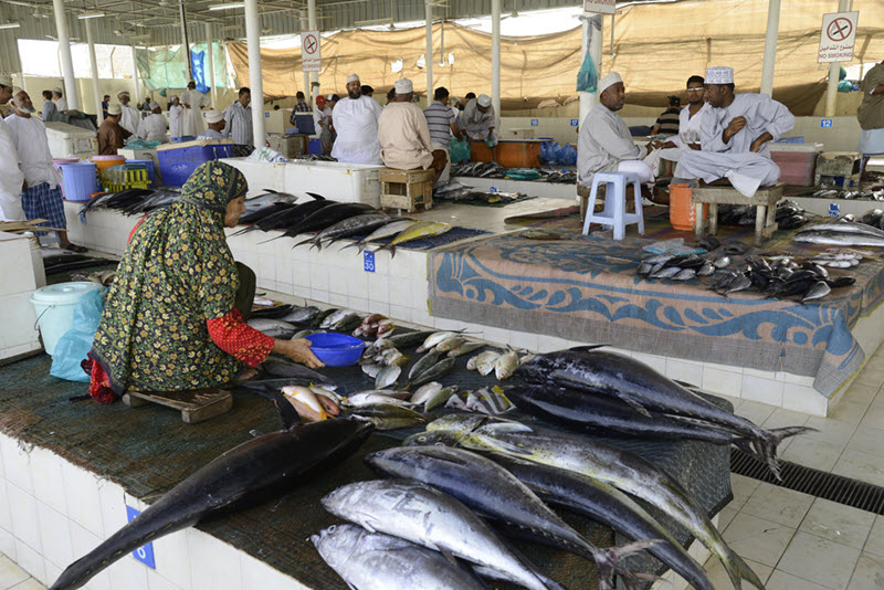 Oman Fish Market